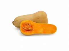 Early Butternut (Holland)