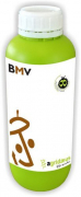 BMV