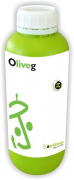 Oliveg