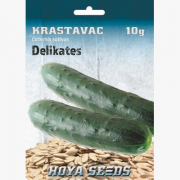 Krastavac Delikates 10g