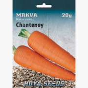 Mrkva Chanteney 20g