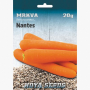 Mrkva Nantes 20g