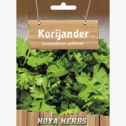 Korijander 10g