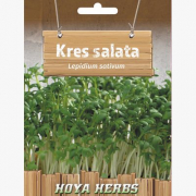 Kres salata 10g