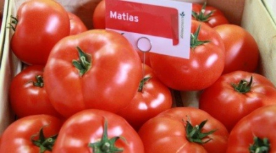 Matias (Seminis)