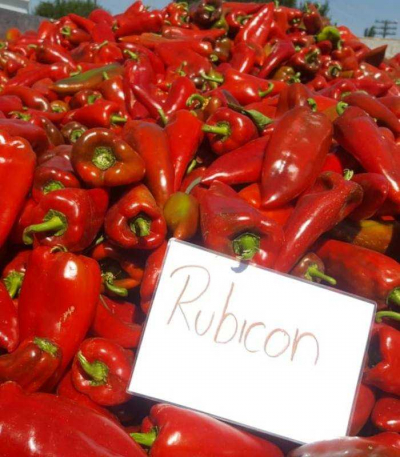 Rubicon F1 (ZKI)