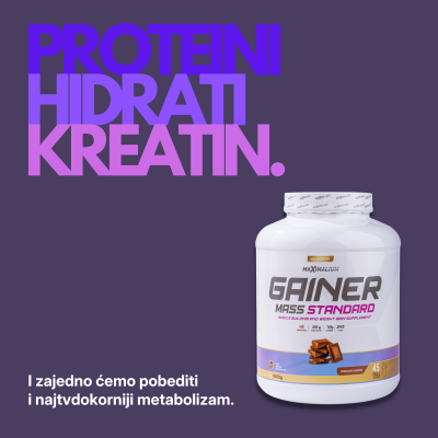 Gainer Mass Standard