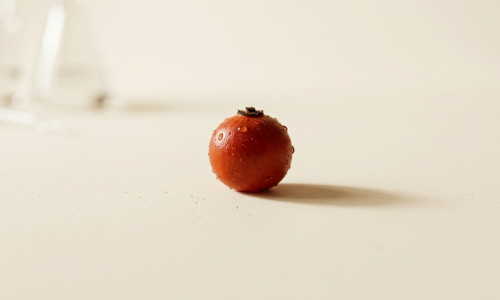Zašto je C-Vitamin Plus bolji od običnog vitamina C? (Moć 