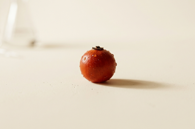 Zašto je C-Vitamin Plus bolji od običnog vitamina C? (Moć 