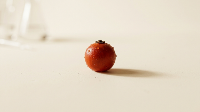 Zašto je C-Vitamin Plus bolji od običnog vitamina C? (Moć 