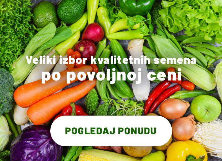 Povrće 03.07.2025.